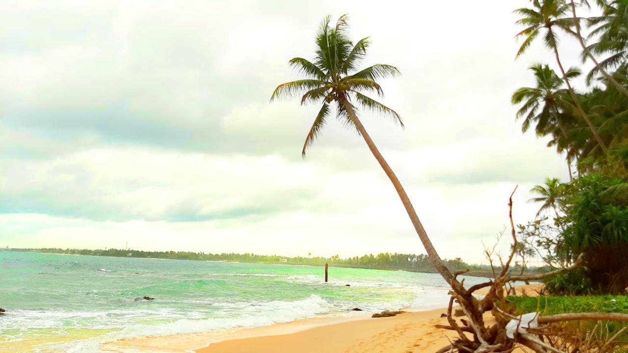 Akurala Beach Boutique Resort Bagian luar foto