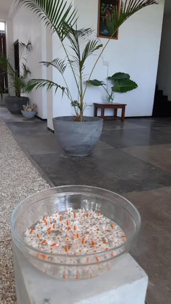 Akurala Beach Boutique Resort Bagian luar foto