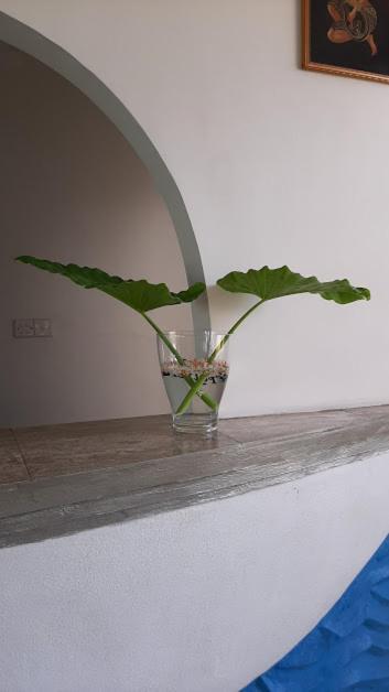 Akurala Beach Boutique Resort Bagian luar foto