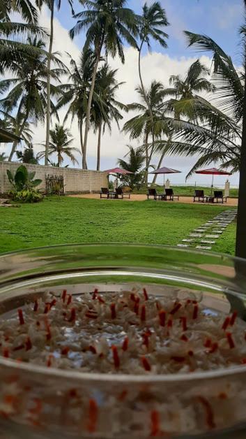 Akurala Beach Boutique Resort Bagian luar foto